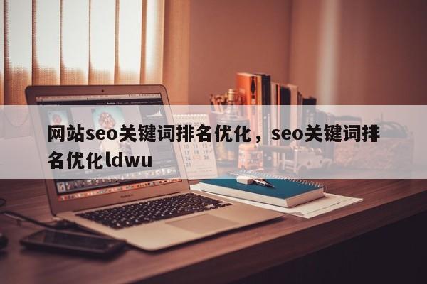 网站seo关键词排名优化，seo关键词排名优化ldwu