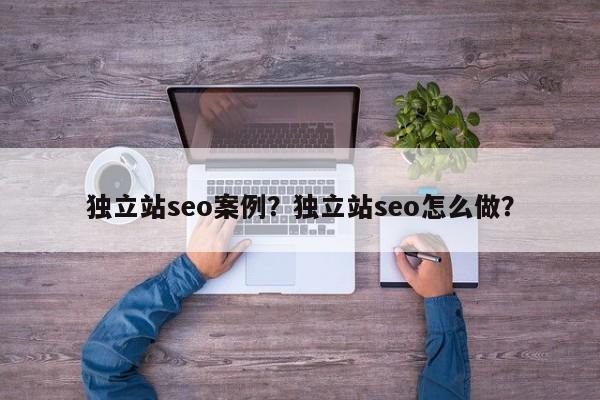 独立站seo案例？独立站seo怎么做？