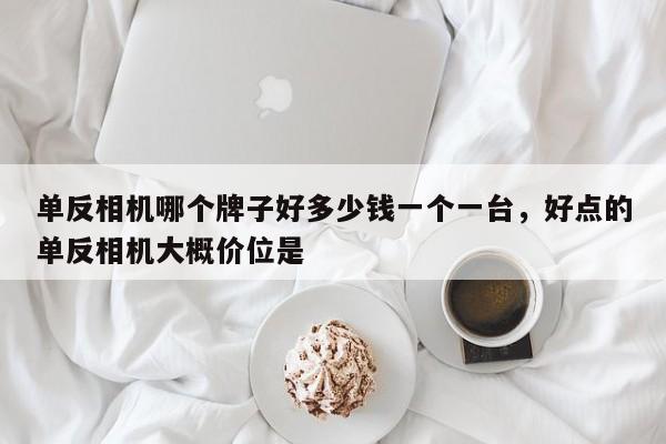 单反相机哪个牌子好多少钱一个一台，好点的单反相机大概价位是