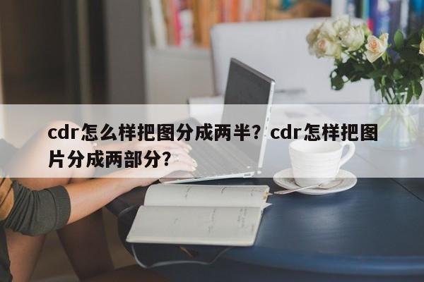cdr怎么样把图分成两半？cdr怎样把图片分成两部分？