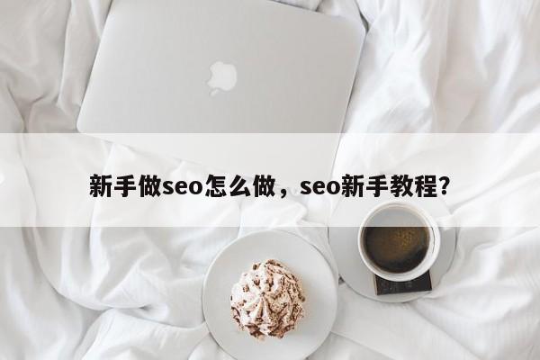 新手做seo怎么做，seo新手教程？