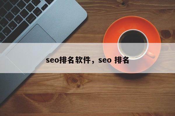 seo排名软件，seo 排名