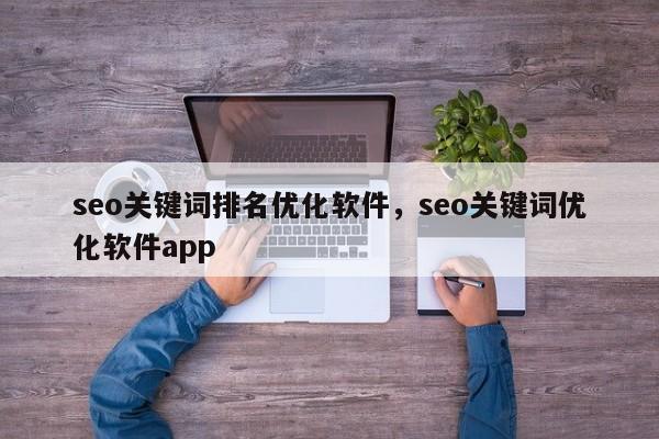 seo关键词排名优化软件，seo关键词优化软件app