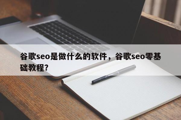 谷歌seo是做什么的软件，谷歌seo零基础教程？